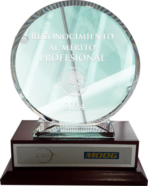 Reconocimiento vidrio 10