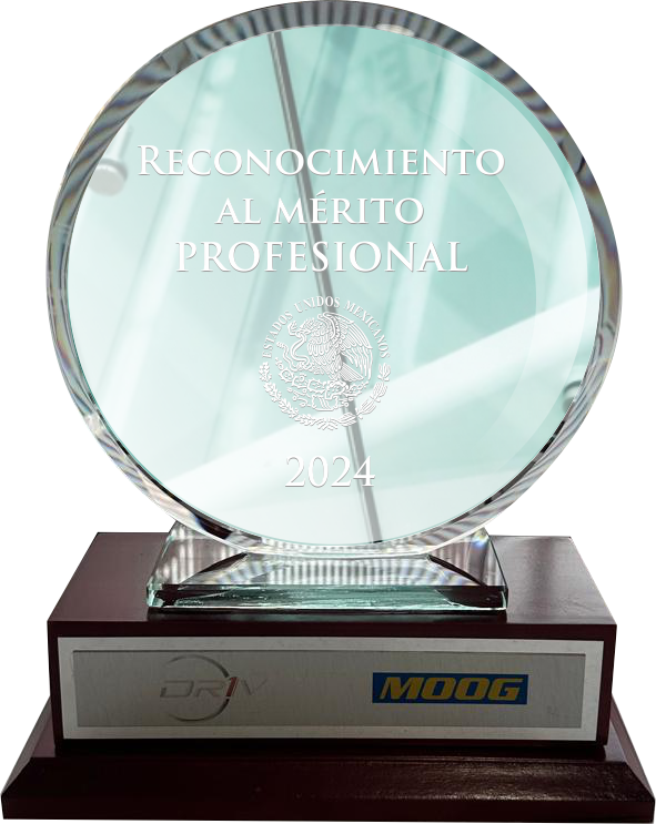 Reconocimiento vidrio 10