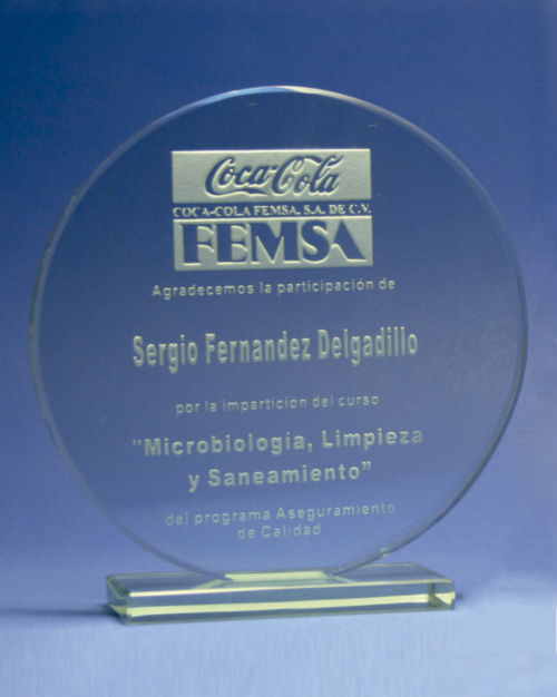 Reconocimiento vidrio 5