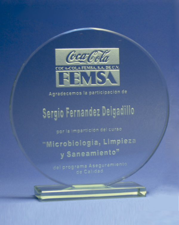 Reconocimiento vidrio 5