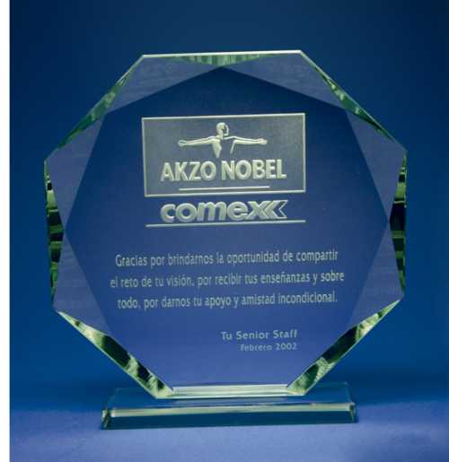 Reconocimiento vidrio 8